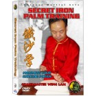 Secret Iron Palm Training by Sifu Kwong Wing Lam