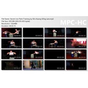 Secret Iron Palm Training by Sifu Kwong Wing Lam Secret Iron Palm Training by Sifu Kwong Wing Lam