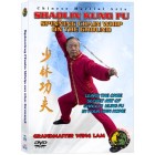 Shaolin Kung Fu Spinning Chain Whip on the Ground by Sifu Kwong Wing Lam Shaolin Kung Fu Spinning Chain Whip on the Ground by Sifu Kwong Wing Lam