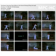 Shaolin Kung Fu Spinning Chain Whip on the Ground by Sifu Kwong Wing Lam Shaolin Kung Fu Spinning Chain Whip on the Ground by Sifu Kwong Wing Lam