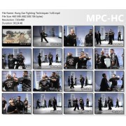 Tiger and Crane Kung Fu Vol 08 Hung Gar Fighting Techniques by Donald Hamby