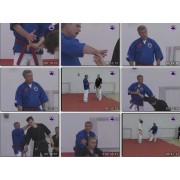 Kyusho Jitsu Seminar-Jack Hogan