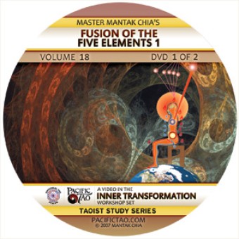 Fusion of the Five Elements-Mantak Chia