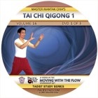 Tai Chi Qigong-Mantak Chia