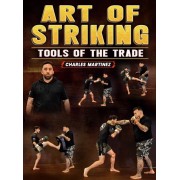 Art of Striking Tools of the Trade by Charles Martinez