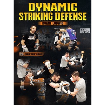 Dynamic Striking Defense by Duane Ludwig