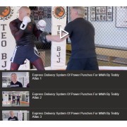 Express Delivery System of Power Punches For MMA by Teddy Atlas