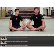 Fundamentals of Karate Power Striking For MMA by Lyoto and Chinzo Machida