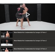 Mixed Martial Arts Fundamentals by Georges St-Pierre