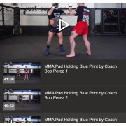 MMA Pad Holding Blueprint by Coach Bob Perez