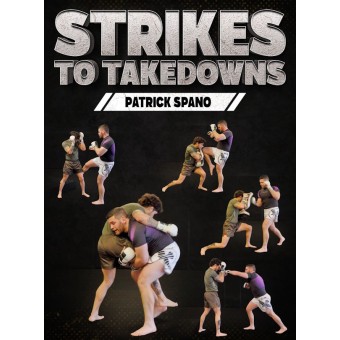 Strikes to Takedowns by Patrick Spano