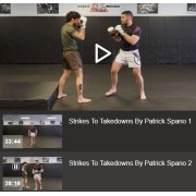 Strikes to Takedowns by Patrick Spano