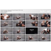 The Science of Ground and Pound: Precision Strikes, positioning and Control by Georges St. Pierre