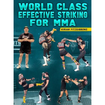World Class Effective Striking For MMA by Kirian Fitzgibbons