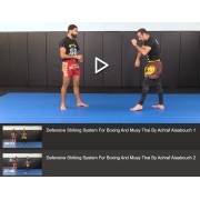 Defensive Striking System For Boxing and Muay Thai by Achraf Alaabouch
