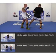 Going Into The Matrix Counter The Inside Kick by Duke Roufus