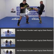 Going Into The Matrix Counter The Lead Leg by Duke Roufus