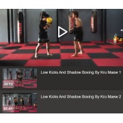 Low Kicks and Shadow Boxing by Kru Maew