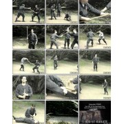 The Art of Ninja 4-Jack Hoban