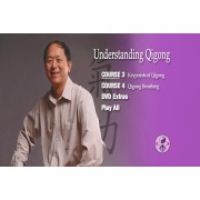 Understanding Qigong DVD 2 by Yang Jwing Ming