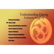 Understanding Qigong DVD 3 by Yang Jwing-Ming