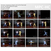 Introductory Shaolin Kung Fu and Lian Bu Chuan by Sifu Kwong Wing Lam