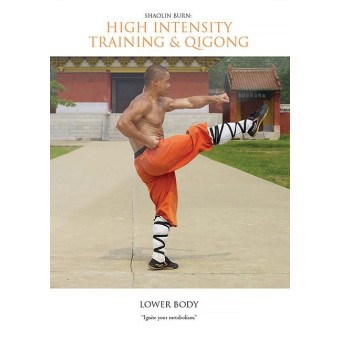 Shaolin Burn High Intensity Training And Qigong Lower Body by Sifu Yan Lei