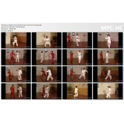 Shaolin Five Animals by Doc-Fai Wong