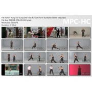Shaolin Hung Gar Kung Fu Gung Gee Fook Fu Kuen by Martin Sewer