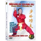 Shaolin Kung Fu Chum Sam Strike to the Heart Shaolin #4 by Sifu Kwong Wing Lam