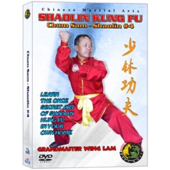 Shaolin Kung Fu Chum Sam Strike to the Heart Shaolin #4 by Sifu Kwong Wing Lam