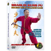 Shaolin Kung Fu Dragon Head Walking Cane by Sifu Kwong Wing Lam