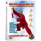 Shaolin Kung Fu Dragon Movement Straight Sword by Sifu Kwong Wing Lam