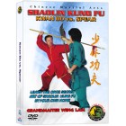 Shaolin Kung Fu Kwan Do vs. Spear by Sifu Kwong Wing Lam