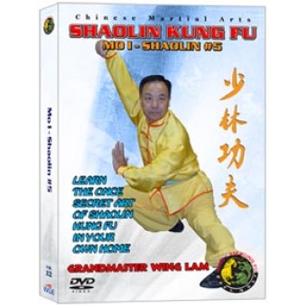Shaolin Kung Fu Mo I Shaolin #5 by Sifu Kwong Wing Lam