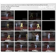 Shaolin Kung Fu Nine Province Eyebrow Height Staff by Sifu Kwong Wing Lam