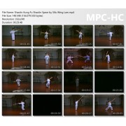 Shaolin Kung Fu Shaolin Spear by Sifu Wing Lam