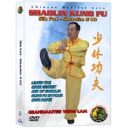 Shaolin Kung Fu Sik Fot Shaolin #10 by Sifu Kwong Wing Lam