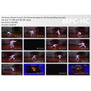 Shaolin Kung Fu Six Harmonies Spear by Sifu Kwong Wing Lam