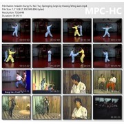 Shaolin Kung Fu Tan Tuy Springing Legs by Sifu Kwong Wing Lam