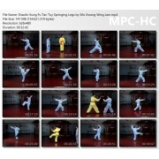 Shaolin Kung Fu Tan Tuy Springing Legs by Sifu Kwong Wing Lam