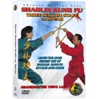 Shaolin Kung Fu Three Section Staff vs. Spear by Sifu Kwong Wing Lam