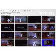 Shaolin Kung Fu Three Sectional Staff by Sifu Wing Lam