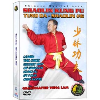 Shaolin Kung Fu Tund Da The Short Strike by Sifu Kwong Wing Lam