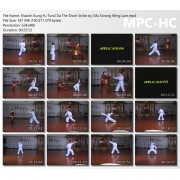 Shaolin Kung Fu Tund Da The Short Strike by Sifu Kwong Wing Lam