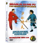 Shaolin Kung Fu Two Person Staff Sparring by Sifu Kwong Wing Lam