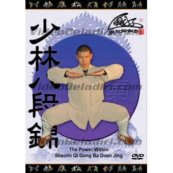 The Power Within-Shaolin Qi Gong Ba Duan Jing-Shifu Shi Yanzi