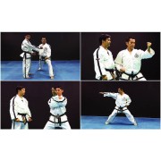 Taekwondo ITF Tul DVD 1