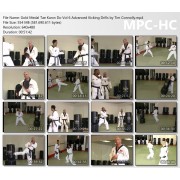 Gold Medal Tae Kwon Do Vol 6 Advanced Kicking Drills by Tim Connolly