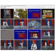 The Way of Traditional Taekwondo Volume 4 Camo Belt by Soon Ho Lee